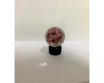 Coca Cola Futgudes 09 Dod�